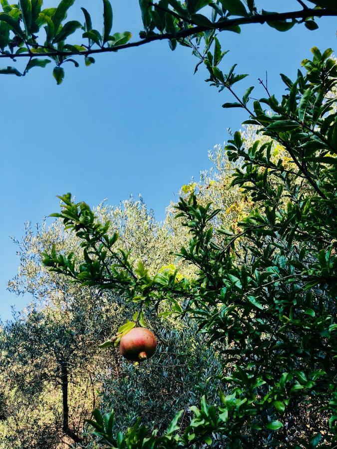 Ricomincio Da 3 Bed and Breakfast Πομπηία Εξωτερικό φωτογραφία